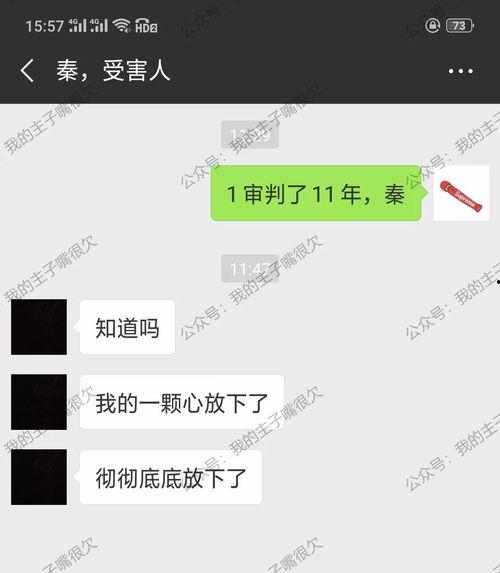 91秦先生国产,国产生态下的创新与突破